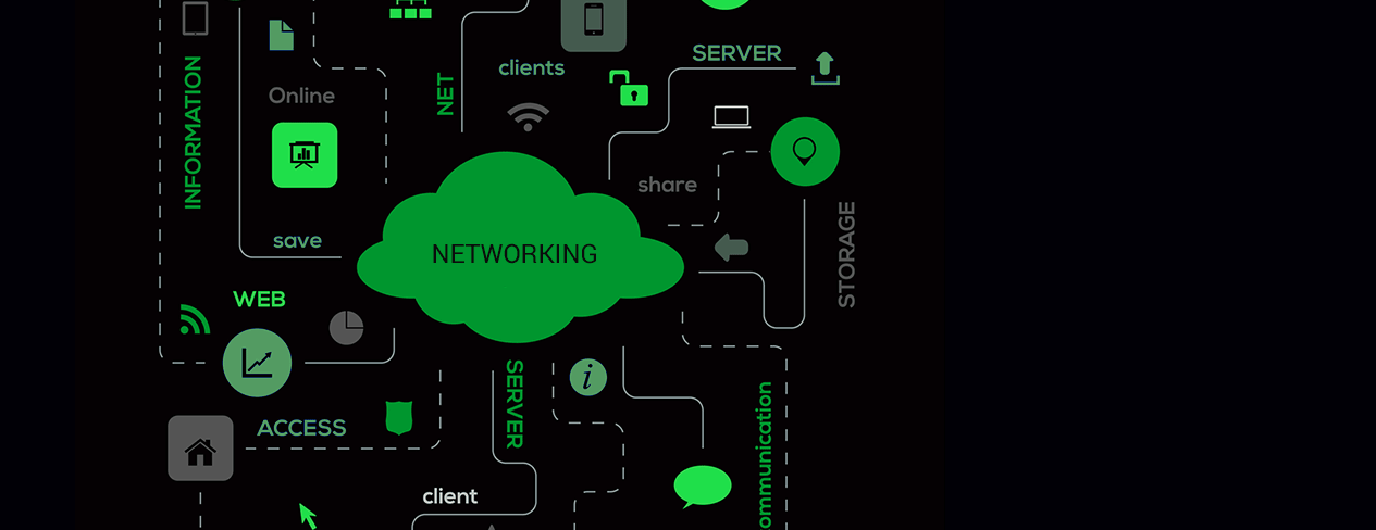 Computer Networking Services